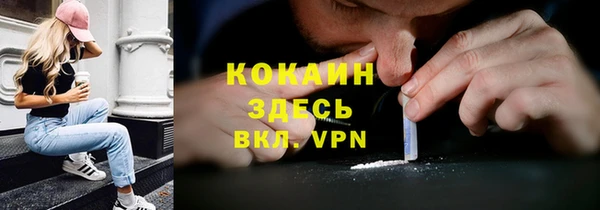 мдпв Надым