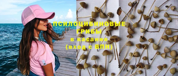 мдпв Надым