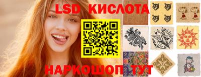 a pvp Гатчина