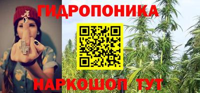 a pvp Гатчина
