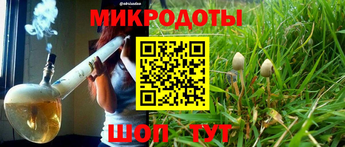 сколько стоит  Вход с VPN  Сыктывкар  Псилоцибиновые грибы Psilocybe  Галлюциногенные грибы Magic Shrooms 