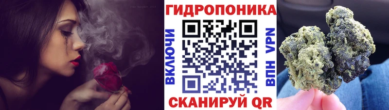 купить закладку  Сыктывкар  Бошки марихуана план 